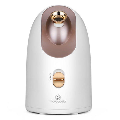 Hot and Cold Face Steamer